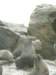 thereisalotofcomplainingamoungtheseals_small.jpg
