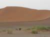 wealsosawostrichtheblackdotinthemiddlesossusvleinamibia_small.jpg
