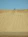 wedrovedownthedunetwice_small.jpg