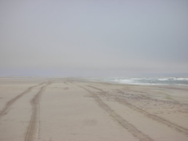 wehadawonderfuldrivealongthecoast.jpg
