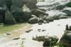 thepenguinsliveatboulderbeachsimonstownsouthafrica_small.jpg