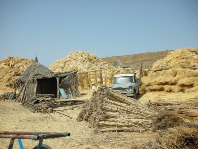 baumarktneargedarefsupplieseverythingtheheartofaroundhousebuilderislookingfor.jpg