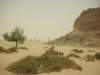 jebelbarkalwithpyramidsinthebackgroundinpharaonictimesitwasbelievedthatthegodamunlivedhere_small.jpg