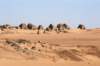 meroepyramidssudansmaintouristattraction11_small.jpg