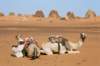 meroepyramidssudansmaintouristattraction13_small.jpg