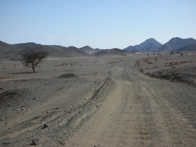 northernsudanbetweenwadihalfaandabrinileroute2.jpg