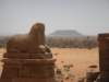 sheepstatuenaqatemplesudan_small.jpg