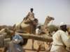 theropeholdingthegoatskinisattachedtothecamel_small.jpg