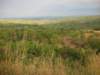 aroundsongeathelandscapeisveryhillyandcoveredwithalotofvegetation2_small.jpg