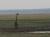 katavinationalparktanzania_small.jpg