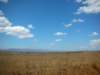 landscapenearsumbawangawesterntanzania_small.jpg