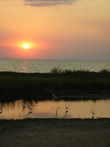 sunsetatlakevictoriatanzania.jpg