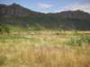 thelandscapearoundtheeasternsideoflakevictoriaischaracterizedbyhillyrockformations_small.jpg