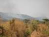 thelandscapeisonefireintanzania_small.jpg