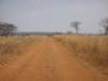 therewasalotofgrassinkatavinationalparktanzania_small.jpg