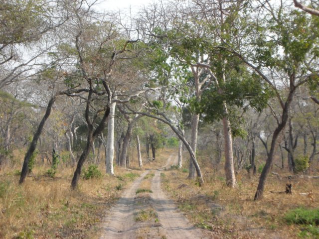 typicallandscapeofkatavinationalparktanzania.jpg
