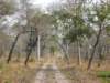 typicallandscapeofkatavinationalparktanzania_small.jpg
