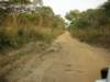 wedrovehunderdsofkmthroughsuchlandscapestakingussouthparalleltolaketanganyika_small.jpg
